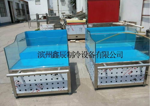 山東鑫辰海鮮貝類臺(tái)、爬行類貝類池及水產(chǎn)品展示臺(tái) 專業(yè)生產(chǎn)廠家、價(jià)格解析與家用電器融合應(yīng)用